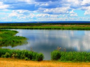 Максим Иванов. На реке Мента