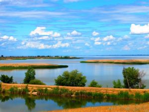Наталья Иванова. Родные Бережновские просторы