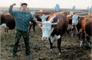 Волго-Донская земля