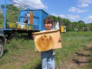 Родной край глазами фотохудожника из Фролово Юрия Суняева