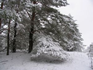 Родной край глазами фотохудожника из Фролово Юрия Суняева