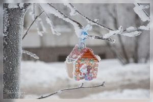 Светлана Павлова. Нежное снежное