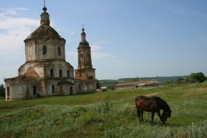 Волгоградская область. Виды России