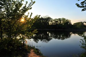 Морозов Макар, 13 лет, с Матышево Руднянского района. Доброе утро, солнышко!