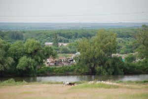 Паршикова Ксения, 12 лет, с. Сосновка Руднянского района. Деревенька моя