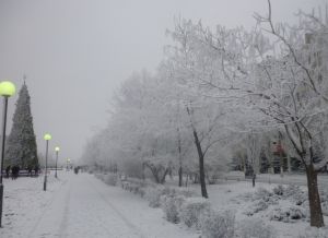 Ноль Владимир, 24 года, Волгоград. Утро. Бульвар Энгельса