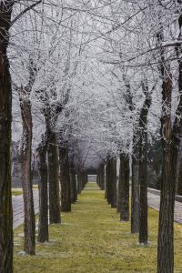 Рузанова Каролина, 21 год, Волгоград. Контрасты. Любимая улица
