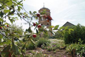 Рыбина Елена, 31 год, с. Большой Морец Еланского района. Природы Храм