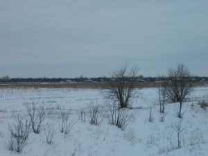 Беспалова Александра, 12 лет, Волгоград. Степь зимой. Зимний пейзаж около п. Красная Слобода