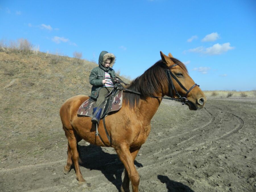 Заворуева Анастасия, 16 лет, Волгоград. На донской кобыле. Обчение детей конной езде в п. Красная Слобода